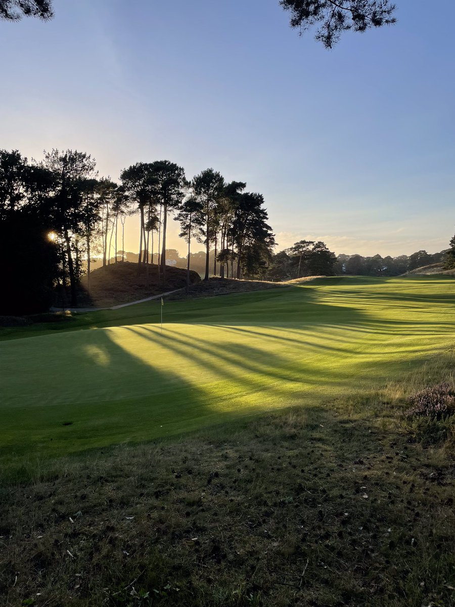 Home #parkstone <a href="/grnkeepergrant/">Grant Peters</a>