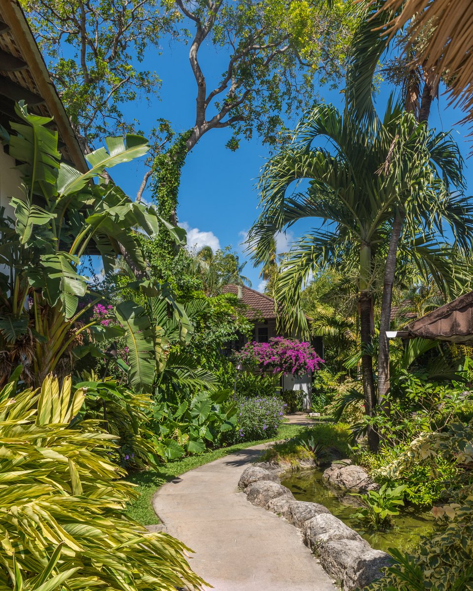 The Sandpiper tweet media