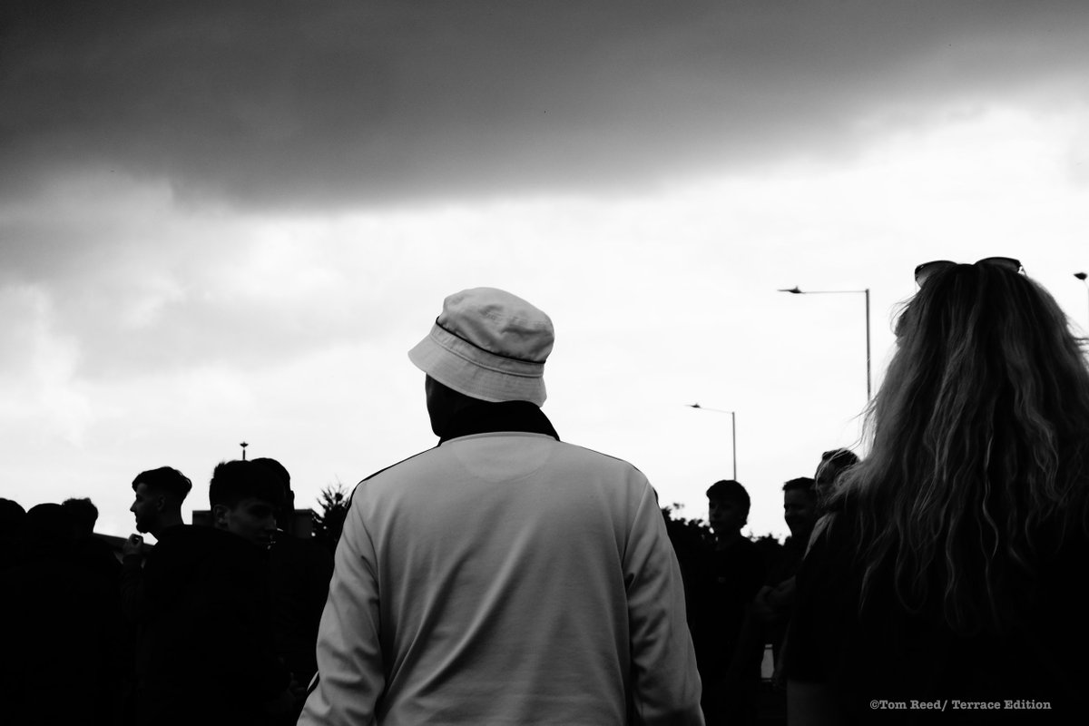 Tom Reed tweet media