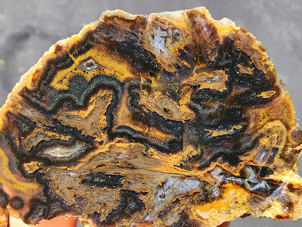 Special agate texture 
ebay.com/itm/1260245535…

#agate #achate #sageniteagate #tubeagate #gemstones #Collectibles #collector #Crystal #CrystalHealing
