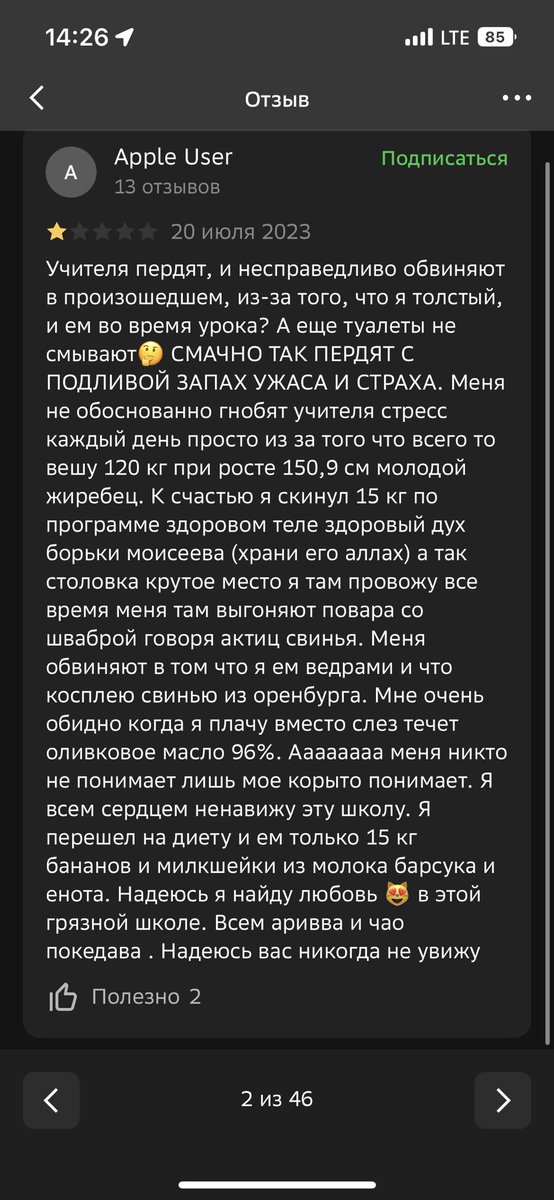 зашла сегодня по приколу почитать отзывы о 2-ой школе в 2гис и наткнулась на шедевр 😂 ору