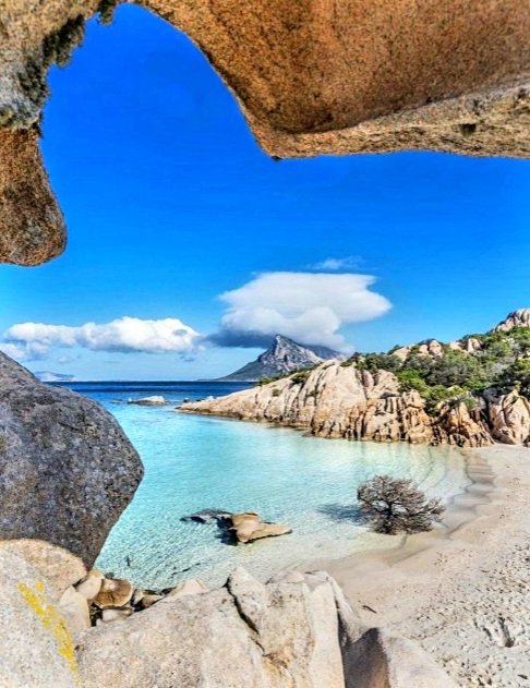 Simple things bring happiness like our "Good Morning"!💙

Happy new week☀️🌊🍀
Sardinia, Italy🇮🇹