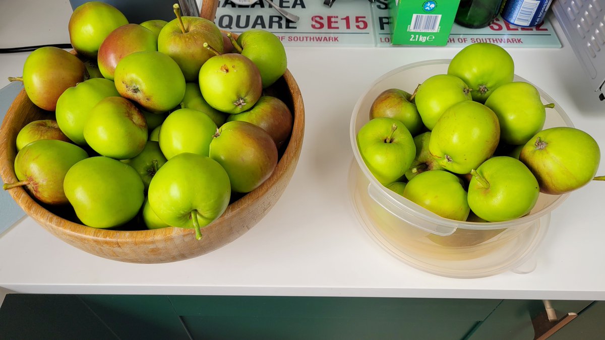 SeedsStats's tweet image. Harvest time 😋
#grow