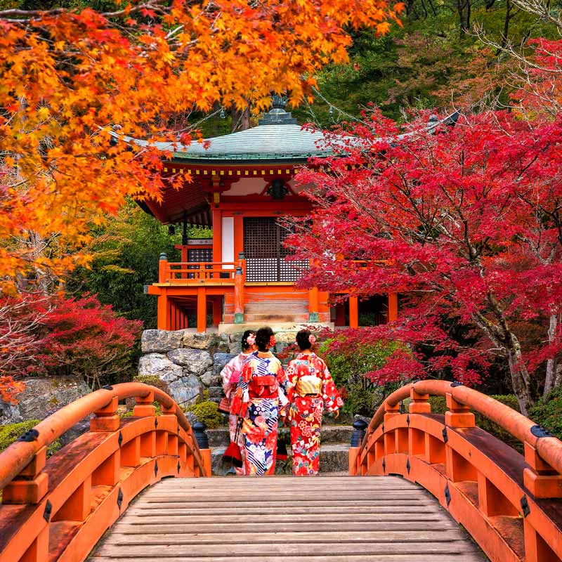 My_GardenDesign's tweet photo. Wow! The Japanese know how to 'do' autumn, right?

What's your favourite way to ensure the gardens you build have all year round interest?  Plants? Lighting? Accessories?

#landscaping #gardendesign https://t.co/uqPfd4Ya9A