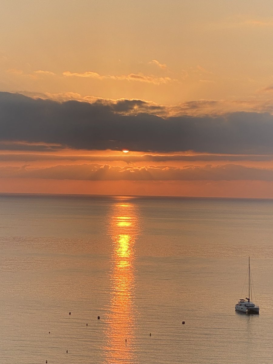 Wendy Randall (@hopkirk1) on Twitter photo 