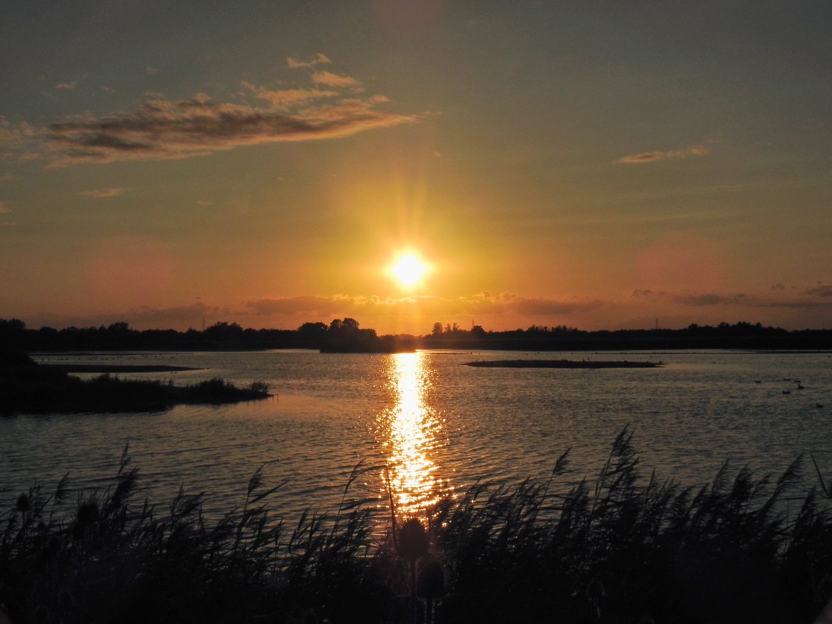 JULIEGRANT20's tweet photo. I love to be at @RSPBFrampton late evening, after a sunny day, as you are generally lucky to witness a wonderful #sunset. Afterwards I stood and watched the hundreds of #greylags coming in for the night. A perfect end to my day 😍 https://t.co/qn5azzF4do