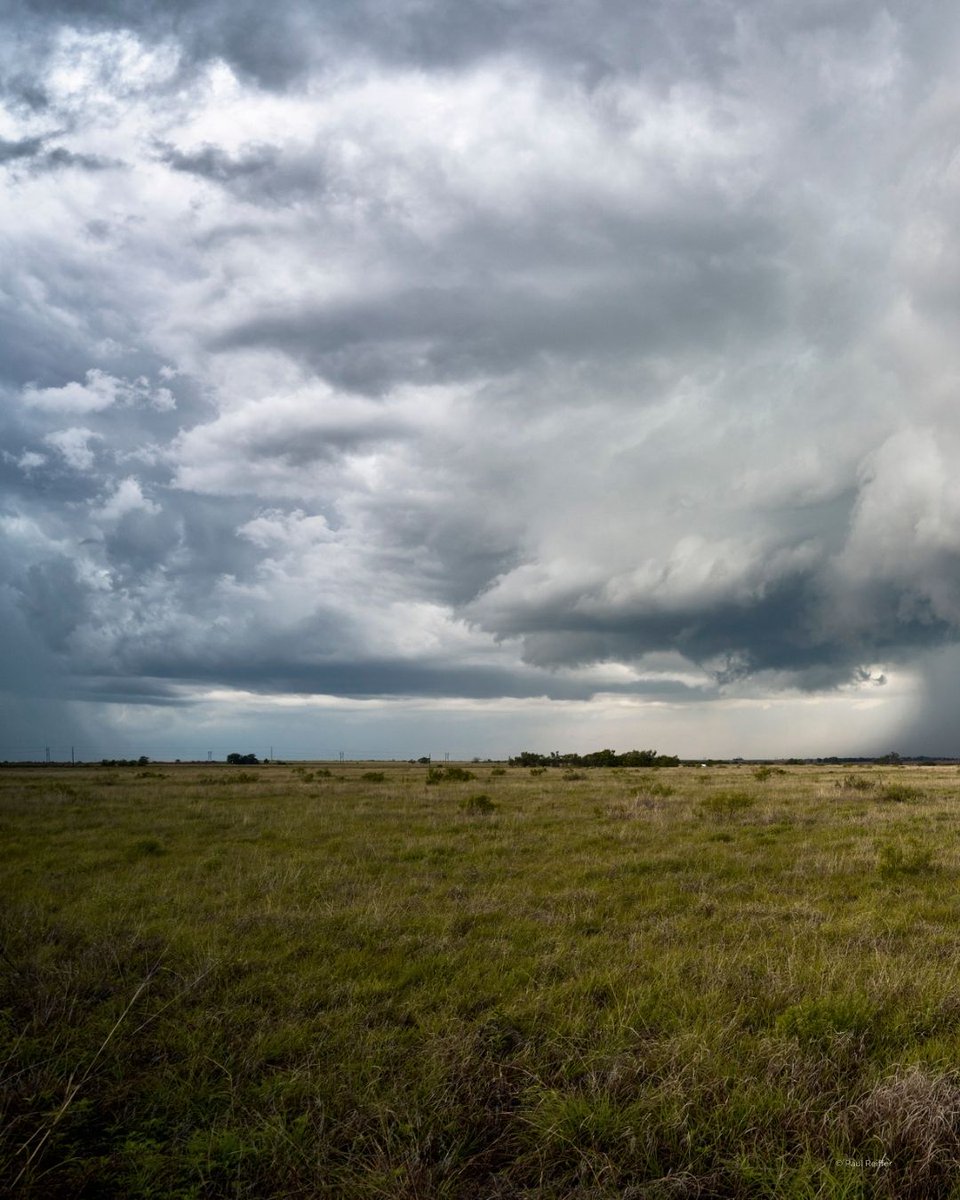 Phase One tweet media