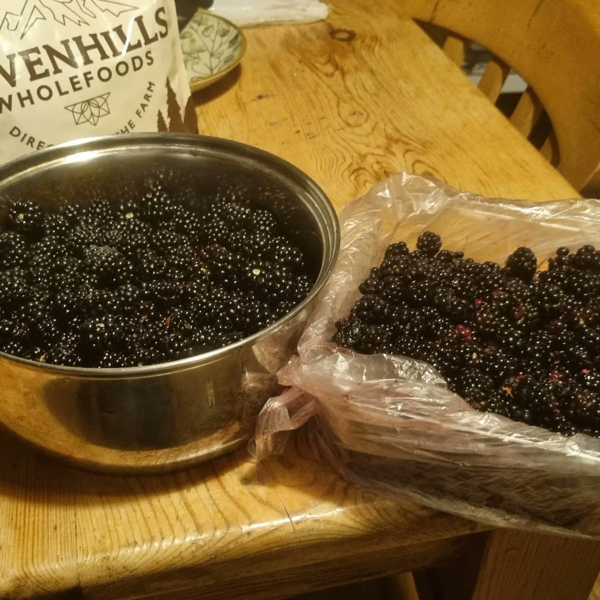 BasilLivanos's tweet photo. Berry hunting.
Foraged about a kilogram.
(@bryan_johnson Blueprint protocol and loving it - nutty pudding).

#berries #conserve #jam #homemade #brambleberry #delicious #healthyeating #freefood #foraging #foragedfood #nomoresugar  #superfood #berrysmoothie #superfoodsmoothie https://t.co/yQlBLU5UsA