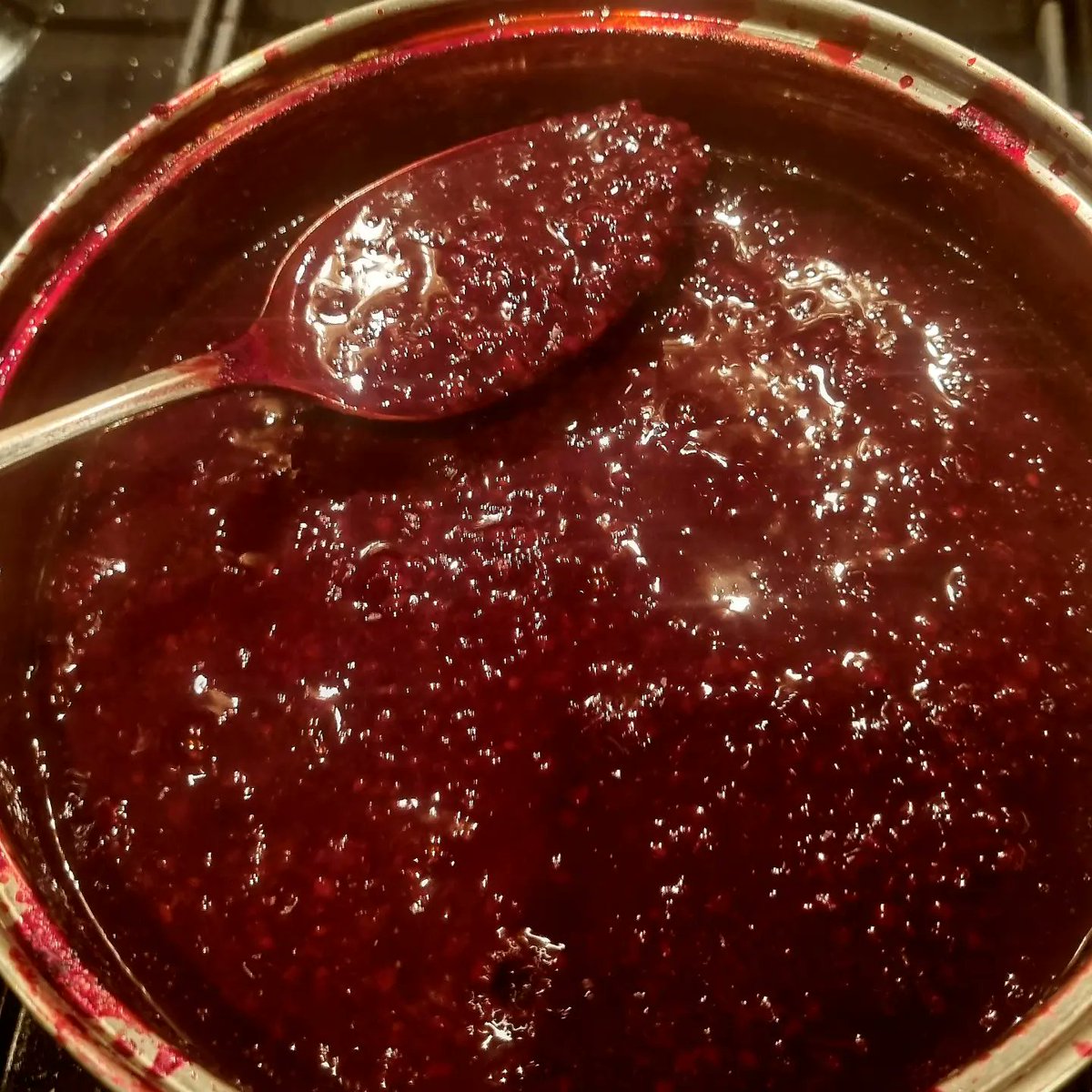 BasilLivanos's tweet photo. Berry hunting.
Foraged about a kilogram.
(@bryan_johnson Blueprint protocol and loving it - nutty pudding).

#berries #conserve #jam #homemade #brambleberry #delicious #healthyeating #freefood #foraging #foragedfood #nomoresugar  #superfood #berrysmoothie #superfoodsmoothie https://t.co/yQlBLU5UsA