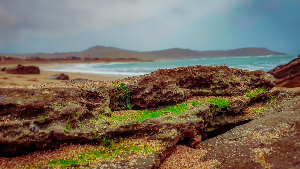 Muhammad_Hamzak's tweet photo. Mubarak Village ✨

#landscape 
#SeaSide #mountain 
#waves #Karachi #karachisea https://t.co/0jTjhwzk7S