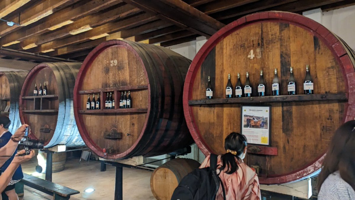 DACLLY's tweet photo. A visit to Chateau De L'Eclair Beaujolais - Field trip with PlantBioRes Satellite symposium session. #ICPP2023 https://t.co/QgKjcNviOd