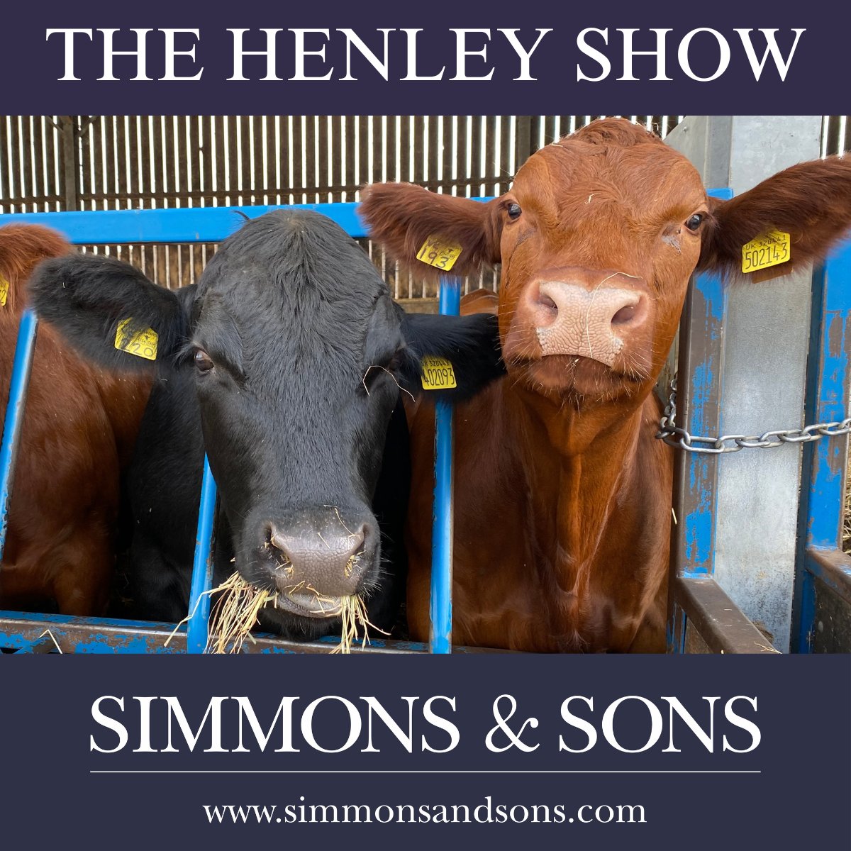 We are proud to be sponsoring The Henley Show which is taking place on Saturday 9th September at The Henley Show Ground, RG9 3AS.

Find us at Stand B3 where you can meet our Rural, Residential and Commercial Teams, we look forward to seeing you there!
#thehenleyshow #countryshow