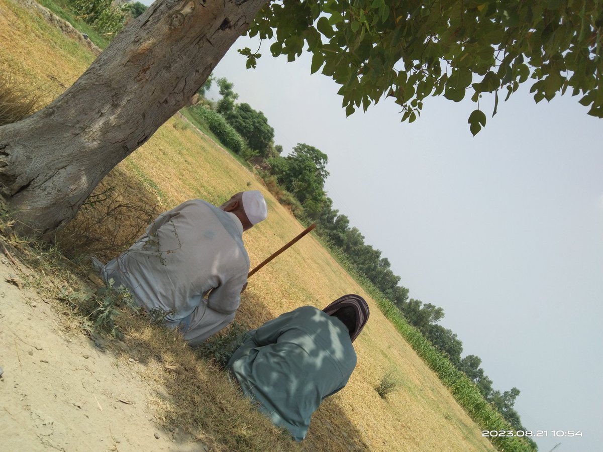 یہ سفید کپڑوں والا افغانی ٹاپ بڈھا ہے اس نے میلے میں ایک بندے سے سیٹنگ کی اور انکو مکئ کے کھیتوں میں لیکر گئے میں نے دو گھنٹے انکا تعاقب کیا ۔کہ یہ دونوں شروع ہو جائیں گے تو میں عین  موقعہ پہ دونوں کو پکڑوں گا لیکن یہ  خود موقع کے انتظار میں تھے  گرمی بہت تھی واپس اگیا