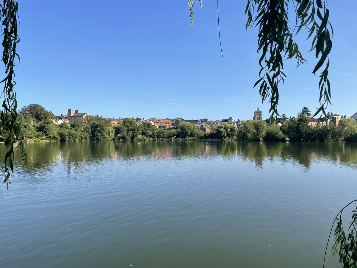 Splice Creative tweet media