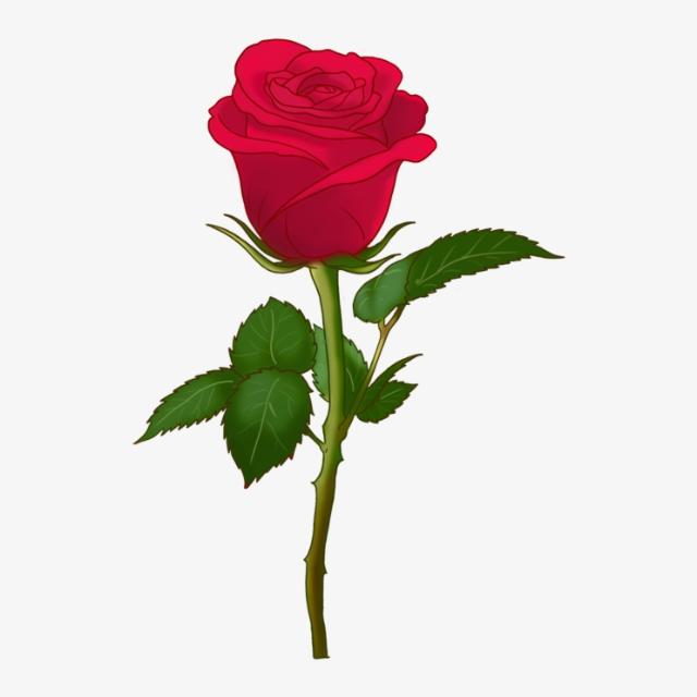 SyaddTg's tweet photo. 📌« Au lieu de voir que les roses ont des épines, voyez que les épines ont des 
roses. »
White
Excellent Lundi à tous 🎉✨
#motivation 💪
#SYADD 🫶
#environnement 🌱🌳 https://t.co/KVJ1cFuUQ2