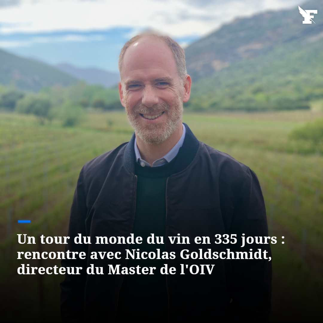 lefigarovin's tweet photo. Forte de 50 états membres, l'OIV fêtera son centenaire en 2024. Son master, reconnu comme l'une des expériences les plus formatrices du secteur, propose à ses élèves un tour «des» mondes du vin de 11 mois. Rencontre avec son directeur.

👉https://t.co/Rtjn77z9Uw https://t.co/v8IM9rkcbr