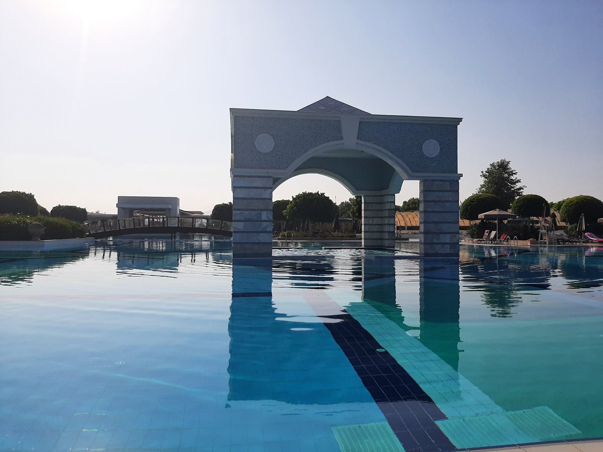 Lisa Williams tweet media