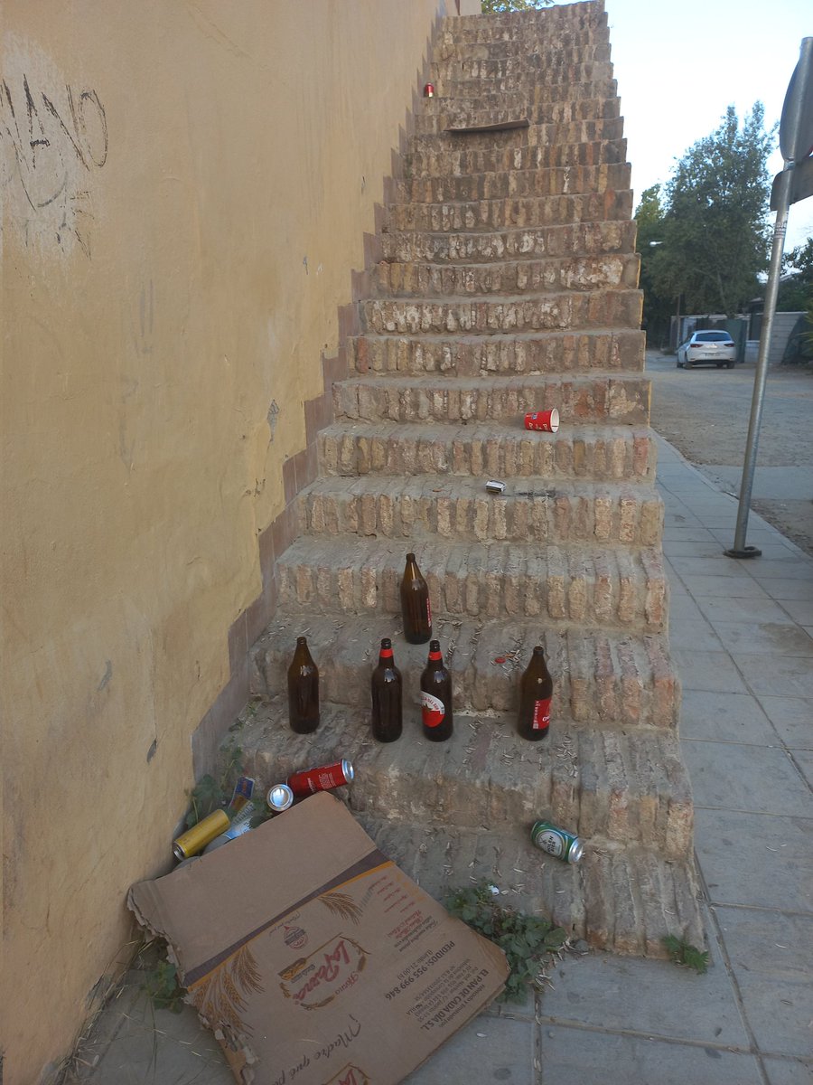 Estado en que se encuentra actualmente la entrada a la biblioteca municipal de San Jerónimo situada en la calle Cataluña en donde ahora mismo hay un zafarrancho de limpieza. Por lo visto esta parte de la calle no está nunca incluida. Años de abandono.