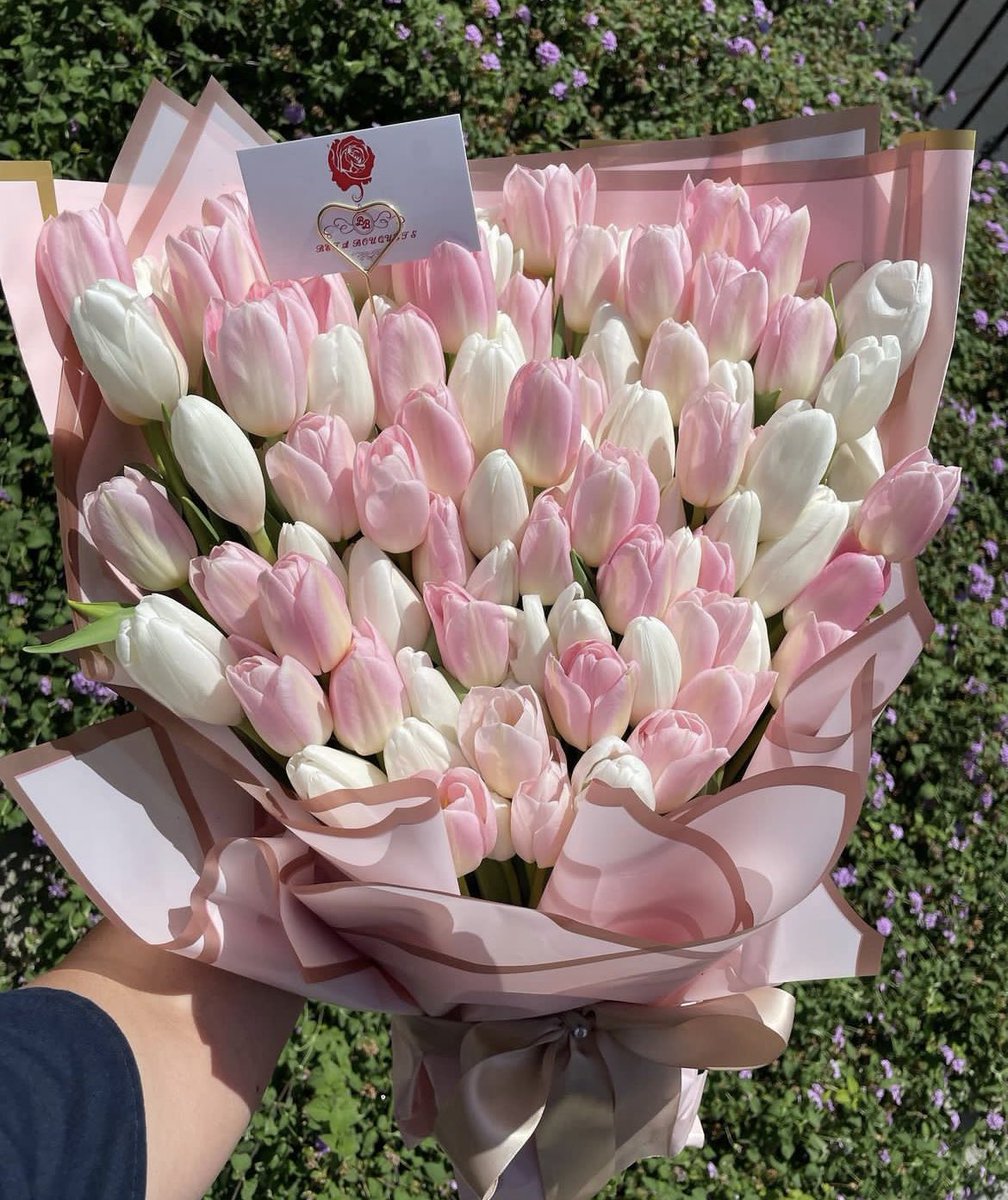 MChordnum's tweet photo. My obsession with tulips grow day by day https://t.co/gOrsY8zImp