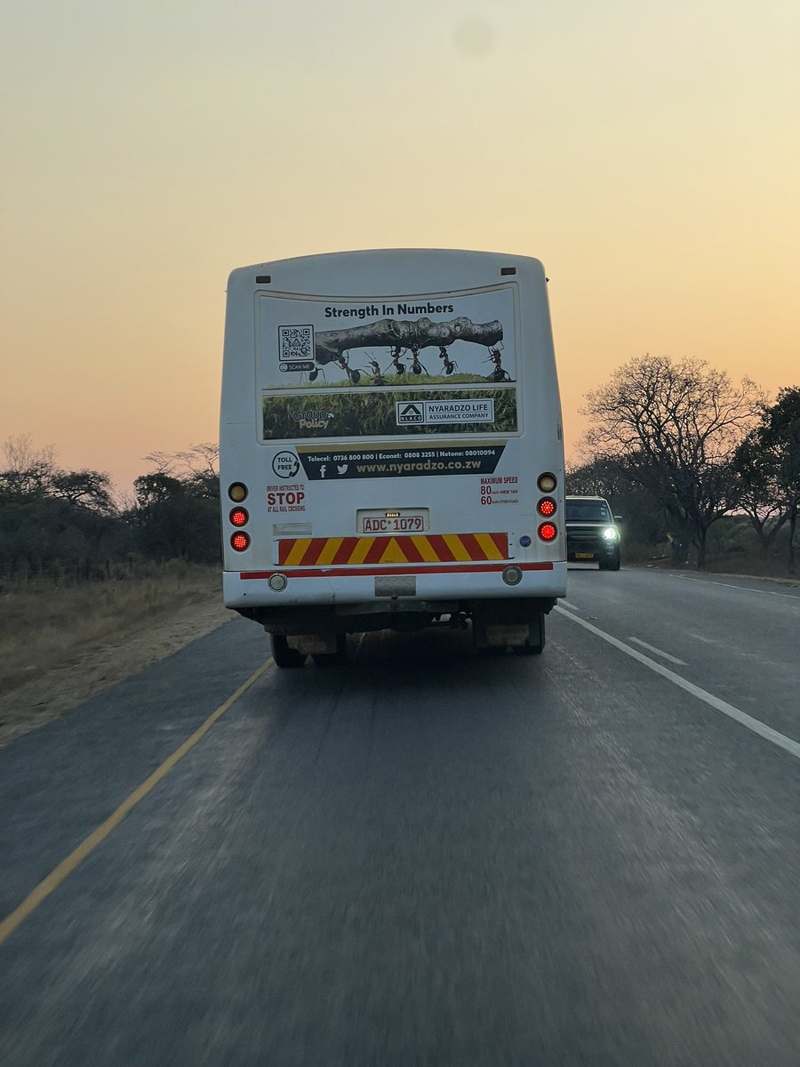 mmatigari tweet media