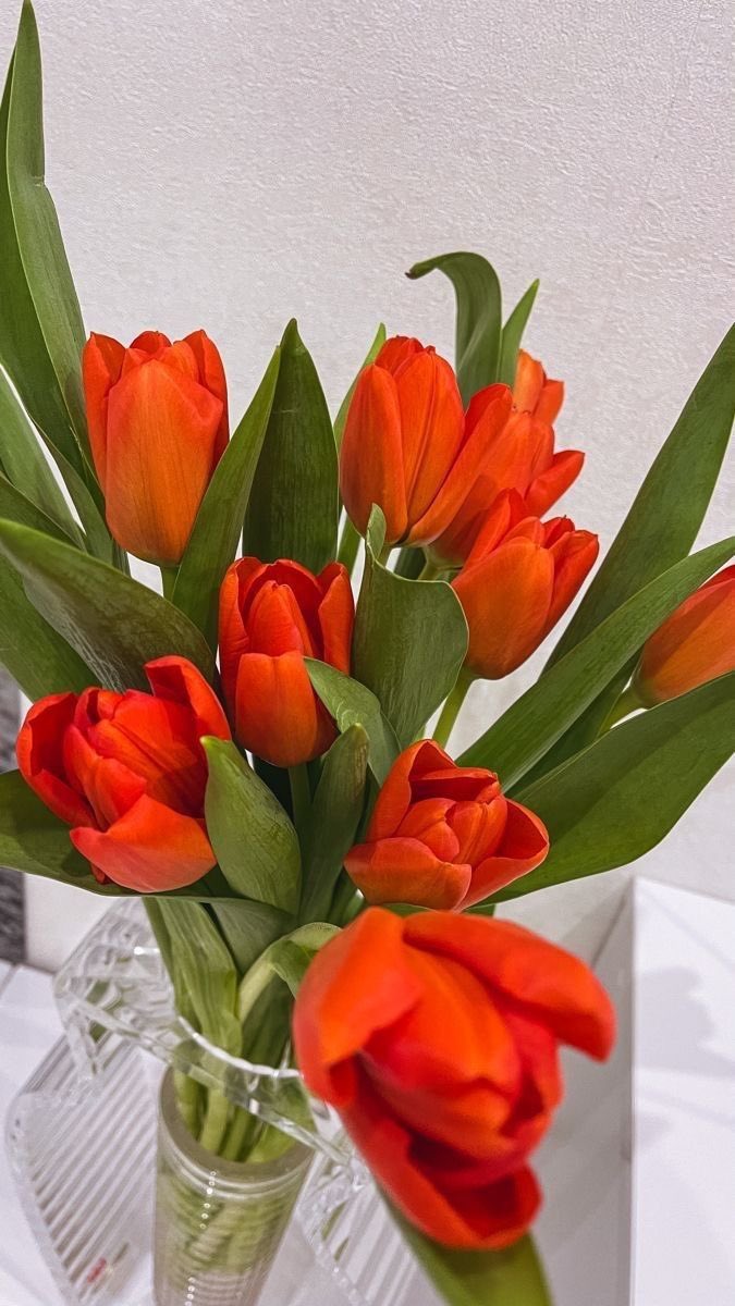 اللهم لطفك وعفوك ورضاك والجنة
صباحكم كله خير وبركة من الله
<a href="/rmaahnet1/">بحوث جامعية-أبو محمد</a>