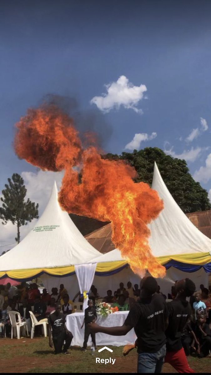 Pizzalo Fizzo (@fizzopizzalo) on Twitter photo 