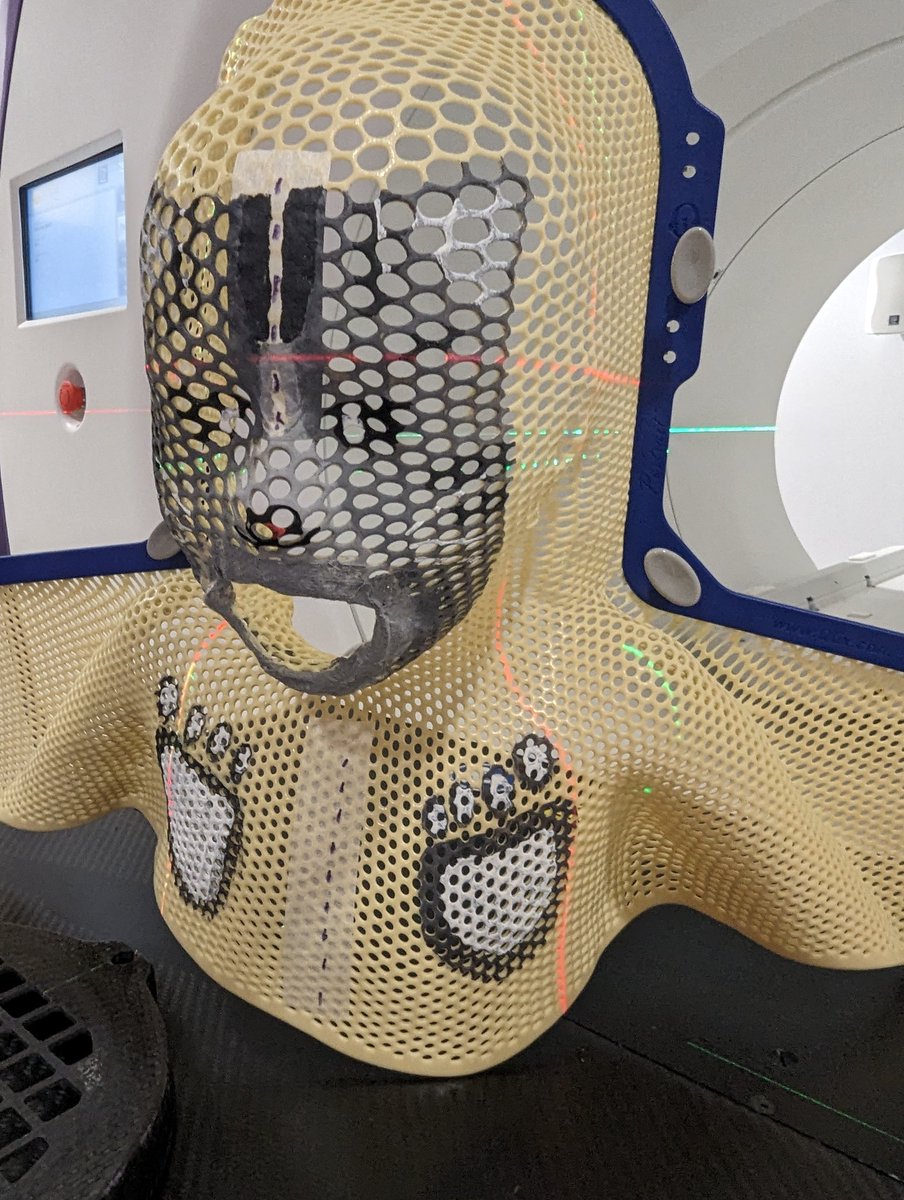 MidlandsPaedRT's tweet image. From dogs last week to cats this week 🐈‍⬛🐈‍⬛. Another brilliant mask painted by our artist IndiaRose.  Supported by @UHBCharity #radiotherapy