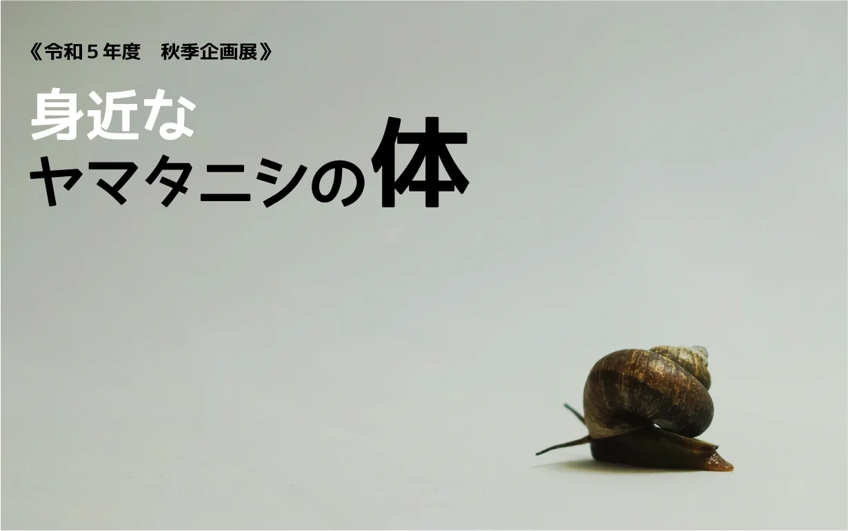 豊田ホタルの里ミュージアム on X: 