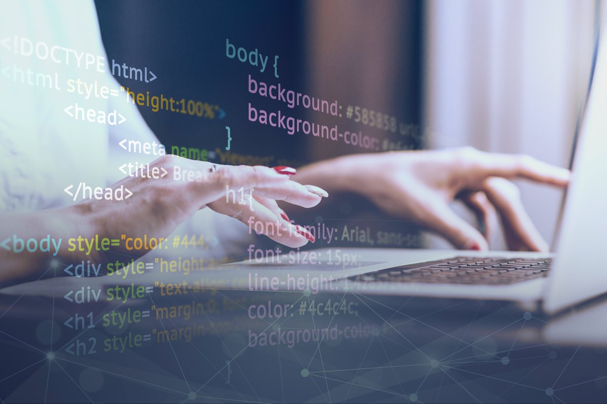 Kiwi Backup tweet media