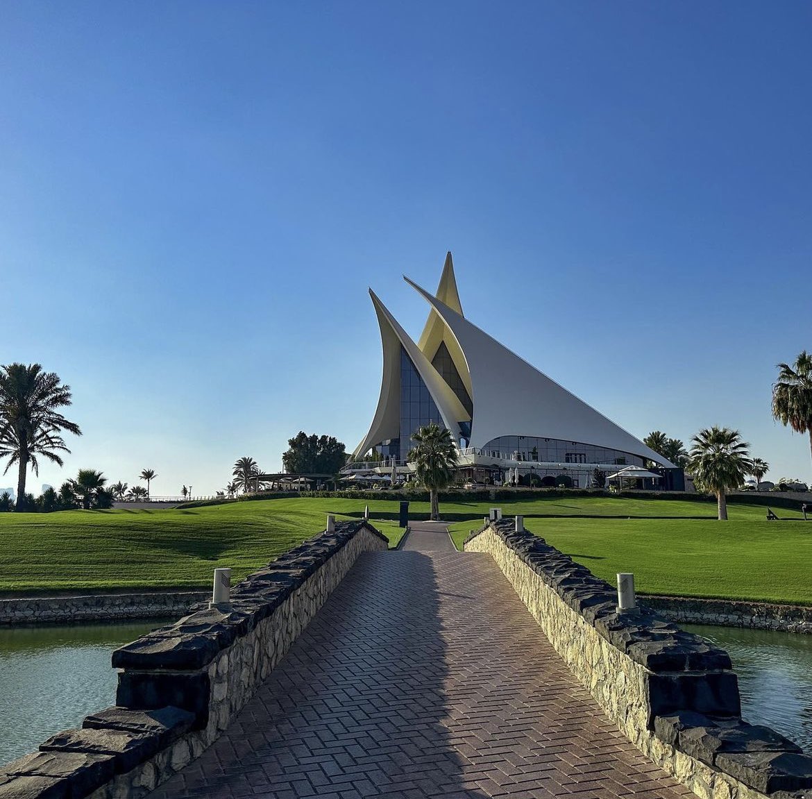 59club Middle East and Africa tweet media