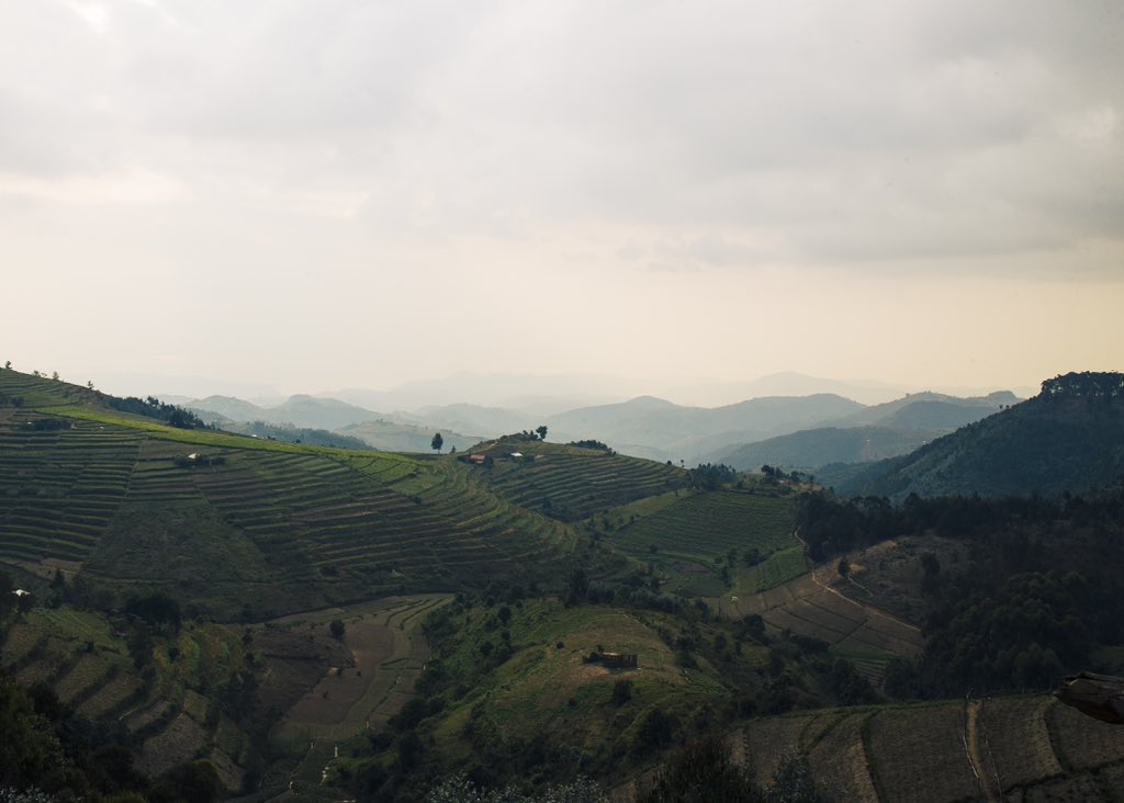 Guess the District:
1️⃣Karongi
2️⃣Nyamagabe
3️⃣Huye
4️⃣Rusizi

#rwandanziza #Rwanda