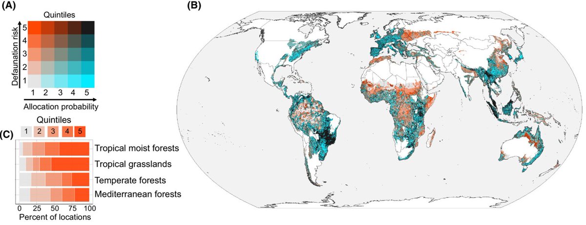 Ecological Dynamics (@ecodynizw) on Twitter photo In his 1st PhD-paper, Mwezi <a href="/IZWberlin/">Leibniz-IZW</a> uncovers a clear mismatch between the distribution of #CameraTrap studies and global #conservation priorities. β¦lpublications.onlinelibrary.wiley.com/doi/full/10.10β¦ In his 1st PhD-paper, Mwezi <a href="/IZWberlin/">Leibniz-IZW</a> uncovers a clear mismatch between the distribution of #CameraTrap studies and global #conservation priorities. β¦lpublications.onlinelibrary.wiley.com/doi/full/10.10β¦