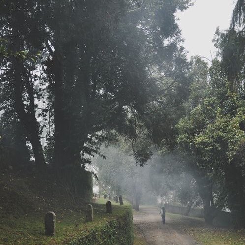foggy day.