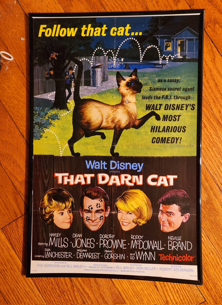 Once upon a time...Walt Disney presented the finest in Family entertainment #Thatdarncat #Waltdisney #Disney #Disneyland