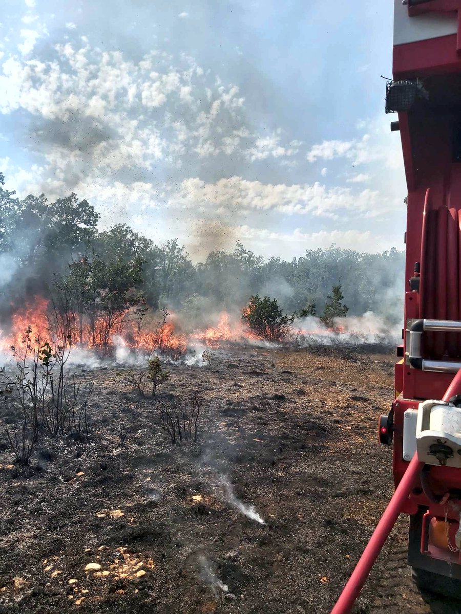 PompiersDuLot's tweet photo. Intervention des @PompiersDuLot et du @sdis82, le 18-8, au #Montat, pour un #FeuDeVégétation. 
2,5 hectares parcourus par les flammes. @Prefet46 
https://t.co/w8c0wQvZot https://t.co/JReEmgkvno