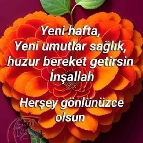 Mutlu günler dilerim saygılar selamlar olsun takipçilerim olgun kadın eklesin mesaj at tanışalım