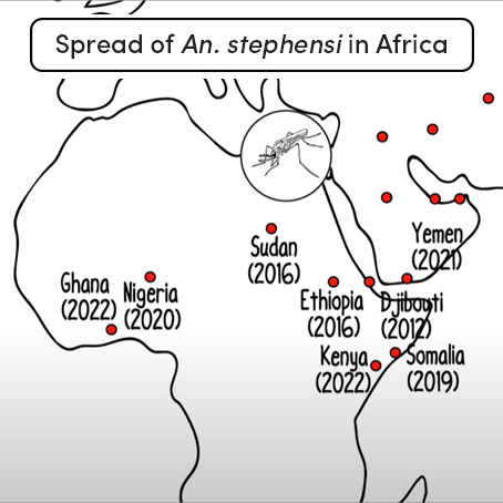 On World Mosquito Day, the @WHO Global Malaria Programme turned a spotlight on the growing threat of Anopheles stephensi, a mosquito vector of @malaria that thrives in urban settings. Read more in our latest newsletter: gmp.cmail20.com/t/d-e-vjdhrkl-…