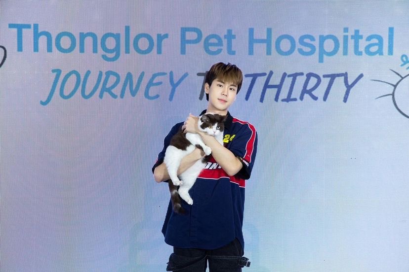 thisisapiccolo's tweet photo. IG thisispiccolo 

Piccolo😾: Meowwww meow meow meow meow meow meow meow meow meow 
(Translation: Happy 30th birthday Thonglor pet hospital! Thank you for always taking good care of my belly😼)

#thisispiccolo
#prem_space https://t.co/ONNMvaC0q8