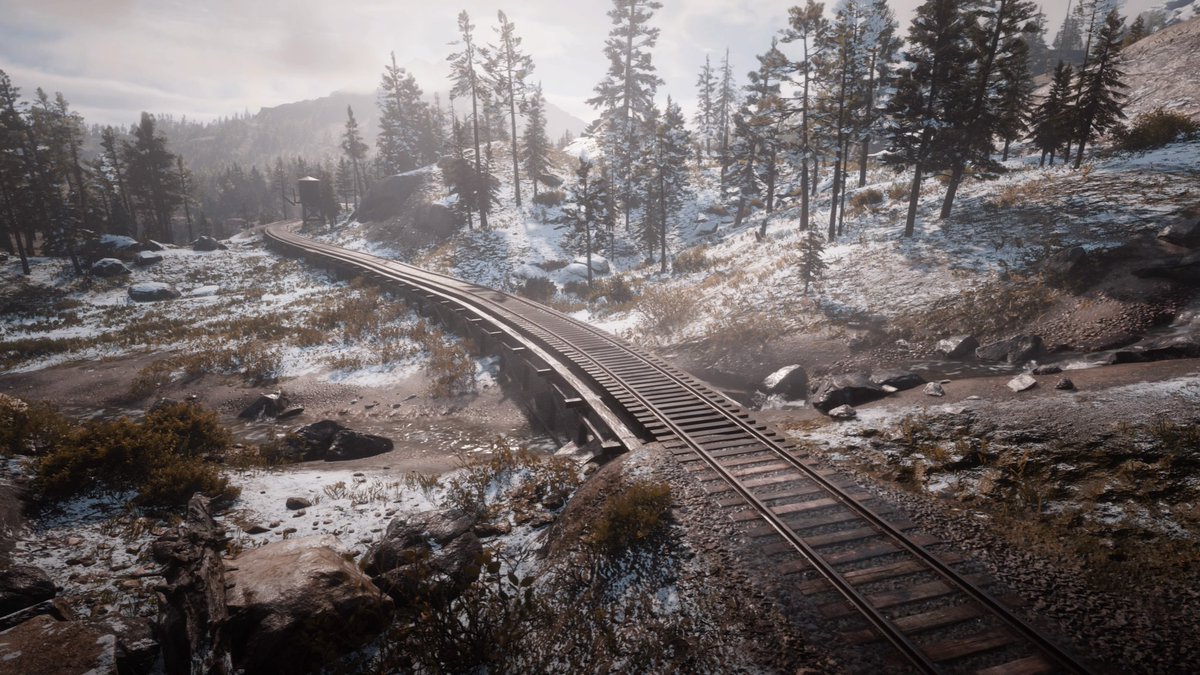 Game: Red Dead Redemption 

#VirtualPhotography 
#RedDeadRedemption2