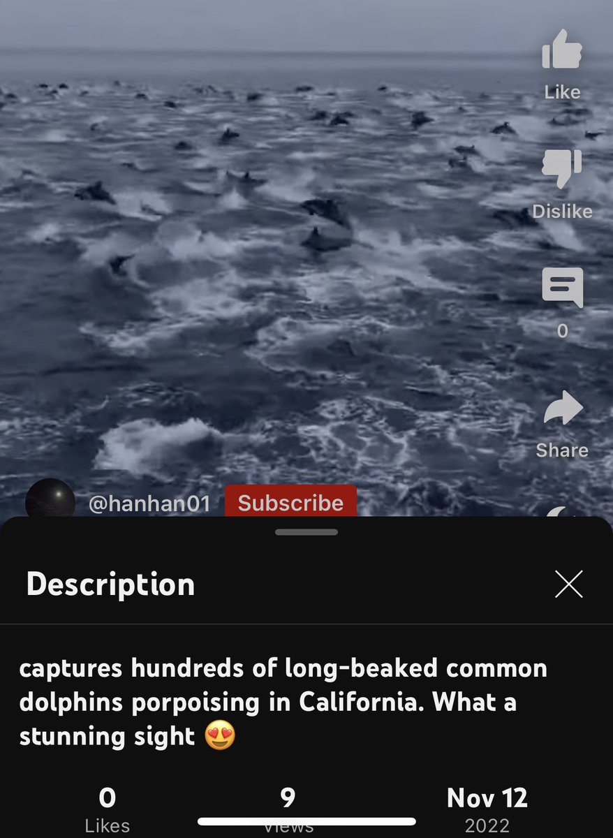 2manyPrinces's tweet photo. @Insider_Times That clip is from 2022, if not older.  Number one rule of relaying ANYTHING to ANYONE at ANY TIME: validate your freakin’ sources, people. Stop recklessly spreading misinformation.
https://t.co/QGvifT3WoU https://t.co/cuHN12ZK7M