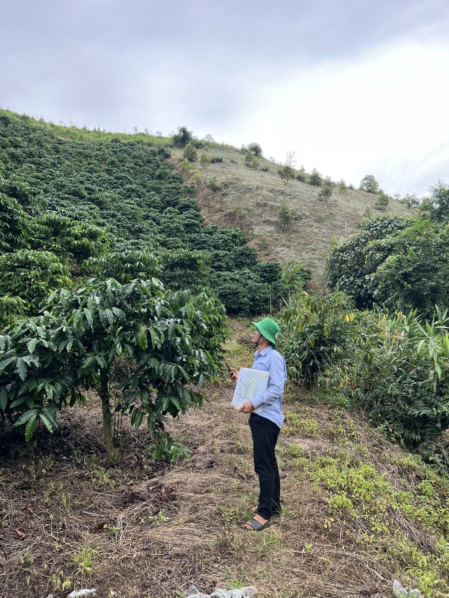 UNDPVietNam tweet picture