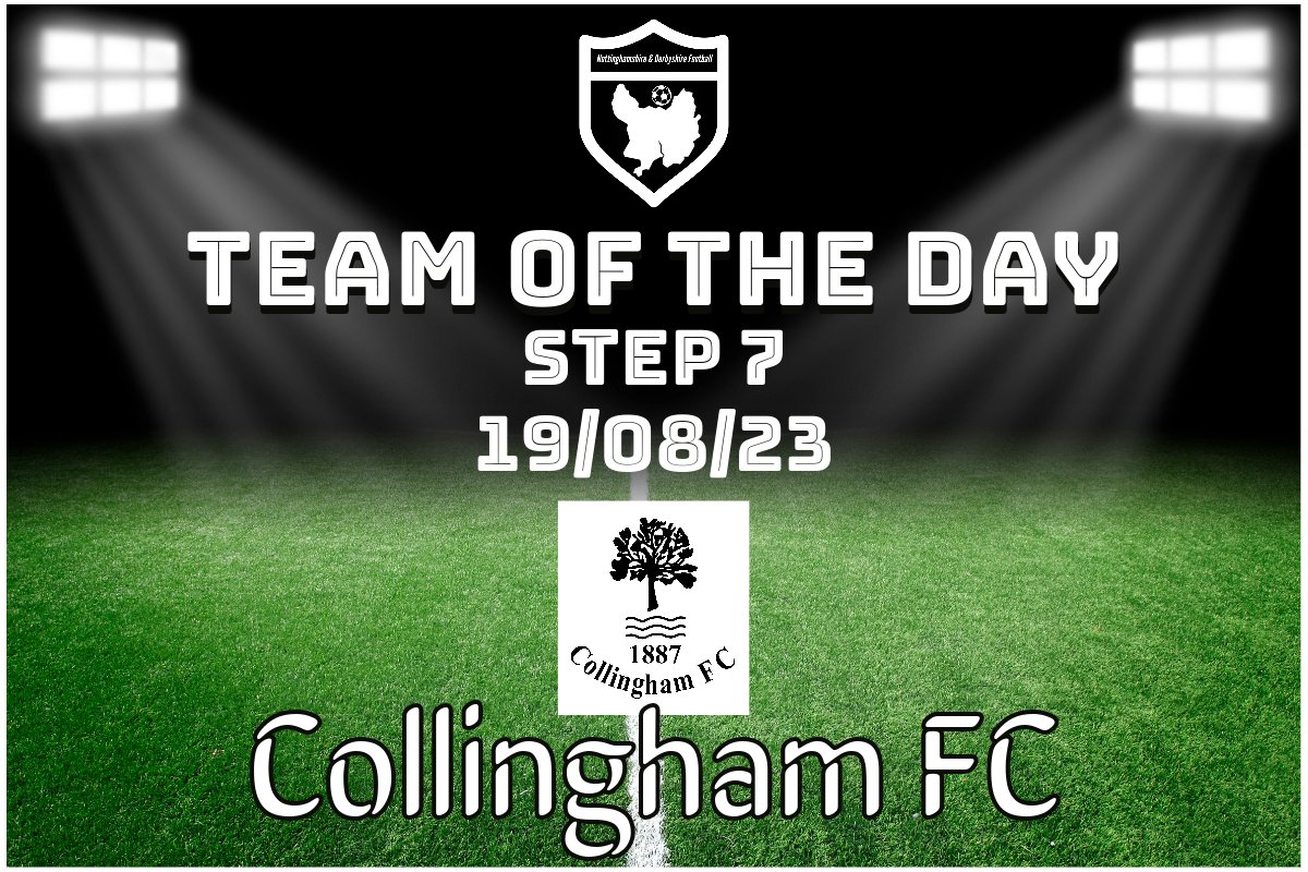 STEP 7 TEAM OF THE DAY 19/08/23

<a href="/CollinghamFC/">Collingham FC</a>  

They've taken to Notts Senior League like a duck to water. a 7-0 win away at Southwell City Res with goals from Dunderdalex3, Cameronx2, Judge &amp; Bilton