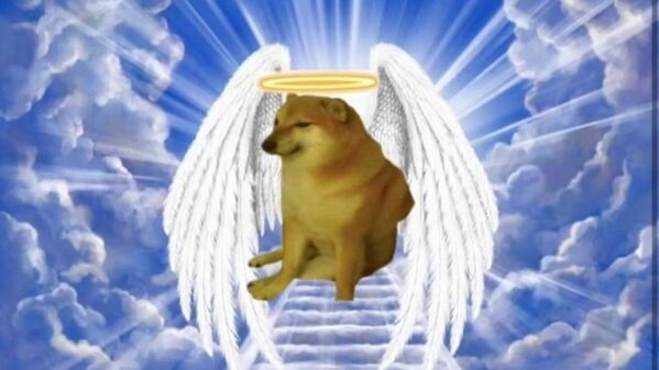 superpixelnews's tweet photo. Balltze, the 12-year-old Shiba Inu better known as Cheems, the dog that became a sensation through viral memes, has passed away.🕯️🕯️🕯️
#CheemsBalltze #cheemsforever #Cheems #ShibaInu #memes
>>>https://t.co/dhAKgvFZD4 https://t.co/5f2jr3mL1l