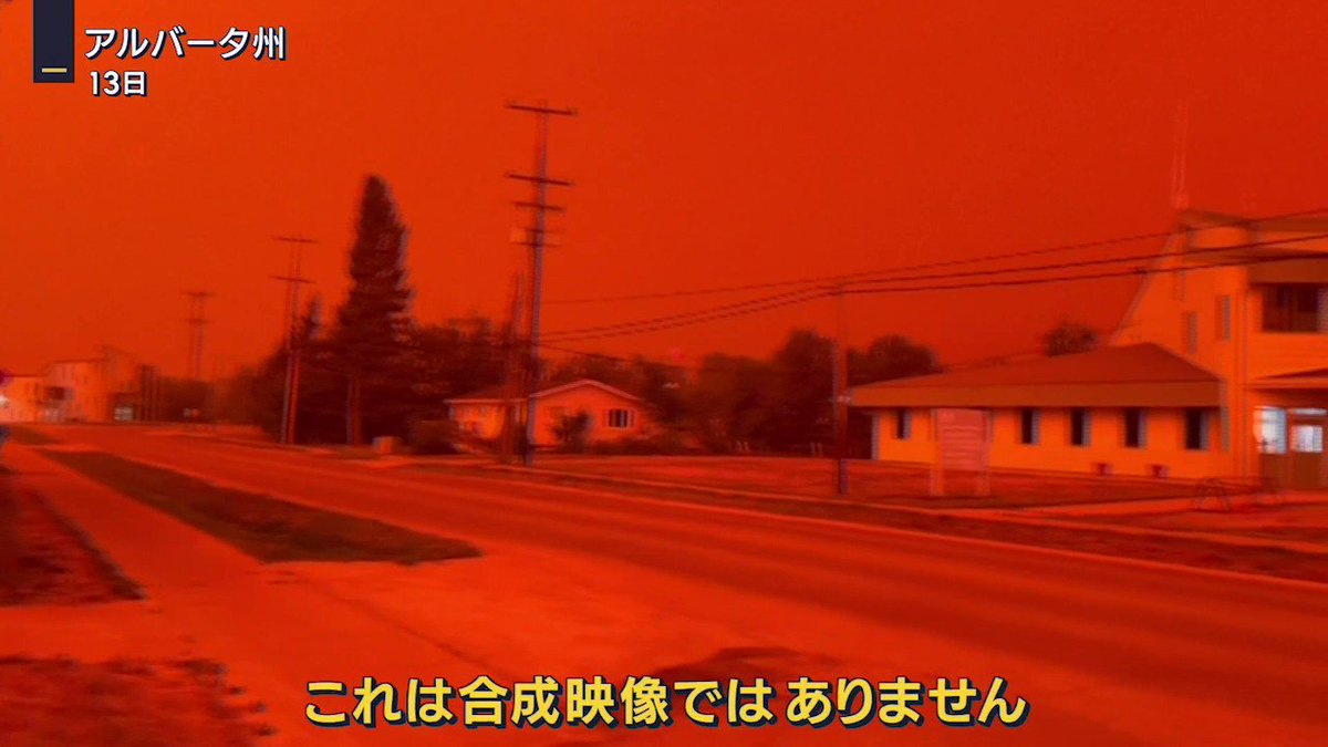 のぶ子 tweet media