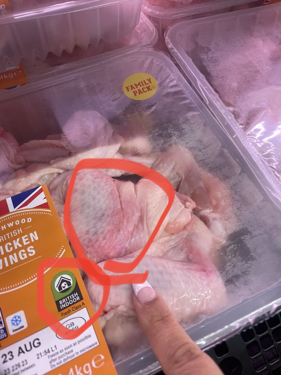 SafferTheGaffer's tweet photo. Not an easy post. But important.

The bruising you see here can only have happened peri mortem. Alive. But close enough to death for the capillaries to burst &amp; ecchymoses to occur.

Note “indoor”. So crammed in together or flung to floor. Died in agony &amp; misery.

#GoVegan 🙏🏽💚 https://t.co/rXngOwNAoW
