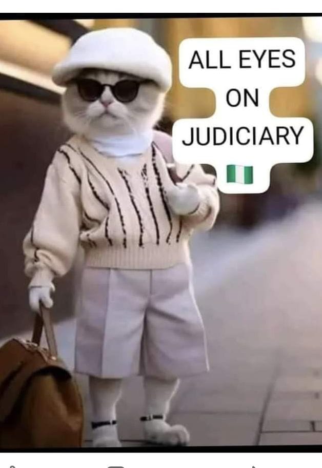 ify_ifyluv's tweet image. Time is the father of all truth.

In the grand finale, truth takes center stage, leaving lies to fade into mere echoes.
The stolen mandate must be restored.