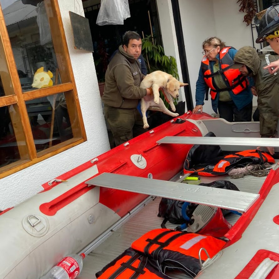 Carab_Maule's tweet photo. Carabineros de #CAUQUENES ayuda con las familias que han sufrido inundación de sus viviendas por desborde del Río #Tutuven y sus mascotas. Se reitera a vecinos la precaución ante las intensas lluvias y aguas sobre las ruta en la zona. #CarabinerosDeTodos
#OrdenyPatria https://t.co/g0erBgwllT