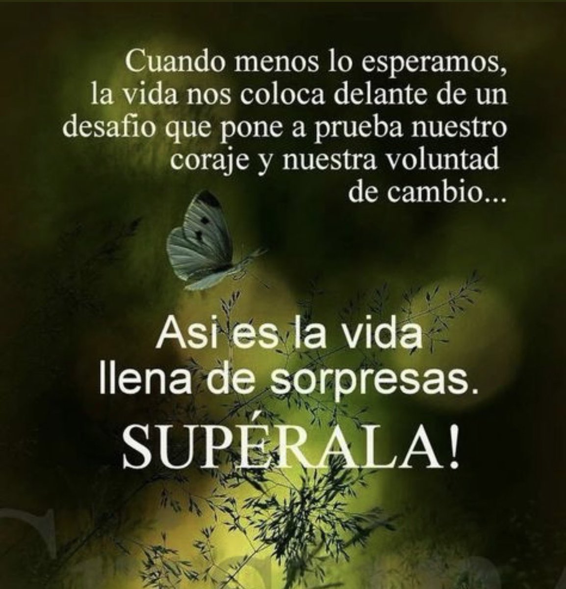 Sololuz5's tweet photo. FUERZA ! 😇 https://t.co/pMV3xYCgZQ