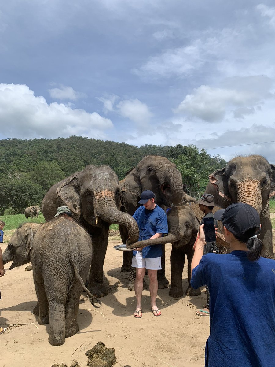 🐘 Just had the most amazing experience visiting these gentle giants! 🌿🐾 Getting up close to elephants and learning about their incredible nature was truly unforgettable. 📸 Swipe to see some incredible shots from the day. #ElephantEncounter #UnforgettableExperience