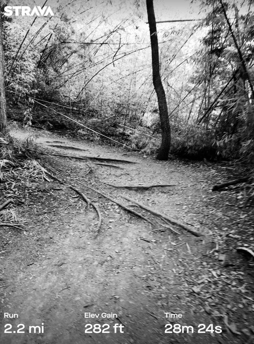 cmpena1's tweet photo. A few miles before work.
#runner #runningformymentalhealth #trailrunning #ragnartraining https://t.co/G2Ld4zjg3B